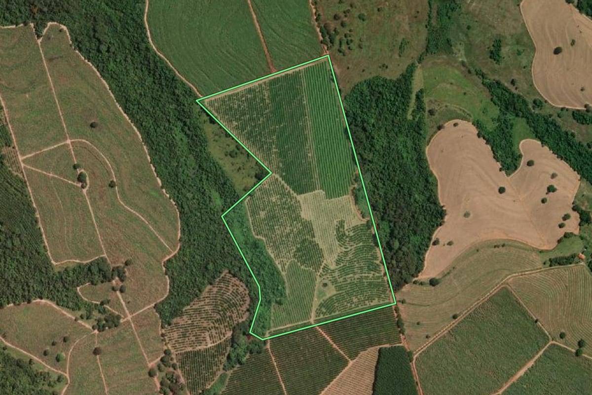 Imagem de satélite do imóvel rural em Irapuã (SP), com o contorno declarado no CAR desenhado por cima.