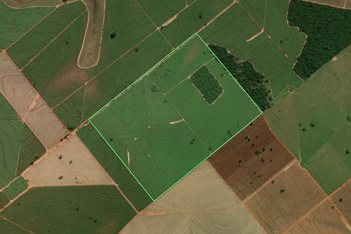 Imagem de satélite do imóvel rural em Irapuru (SP), com o contorno declarado no CAR desenhado por cima.