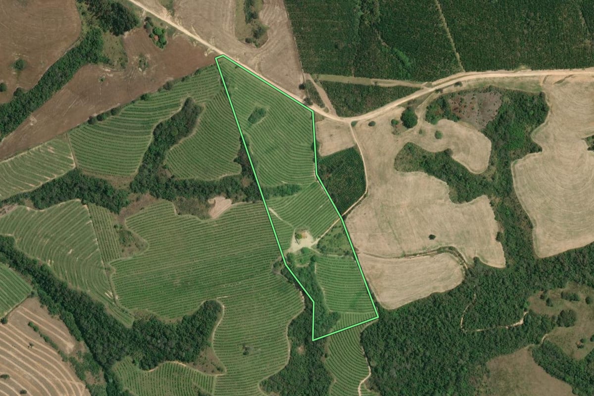 Imagem de satélite do imóvel rural em Itaberá (SP), com o contorno declarado no CAR desenhado por cima.
