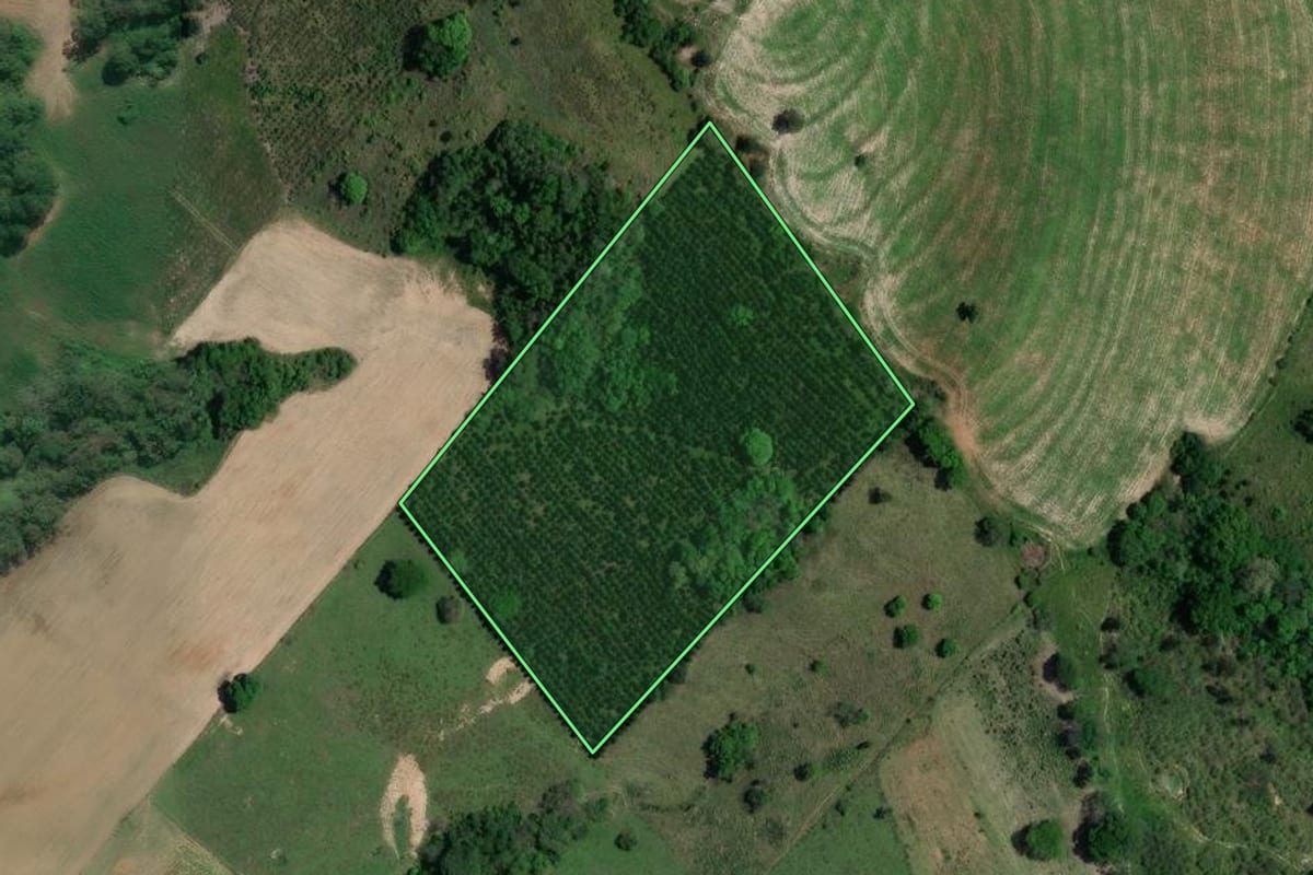 Imagem de satélite do imóvel rural em Itaberá (SP), com o contorno declarado no CAR desenhado por cima.