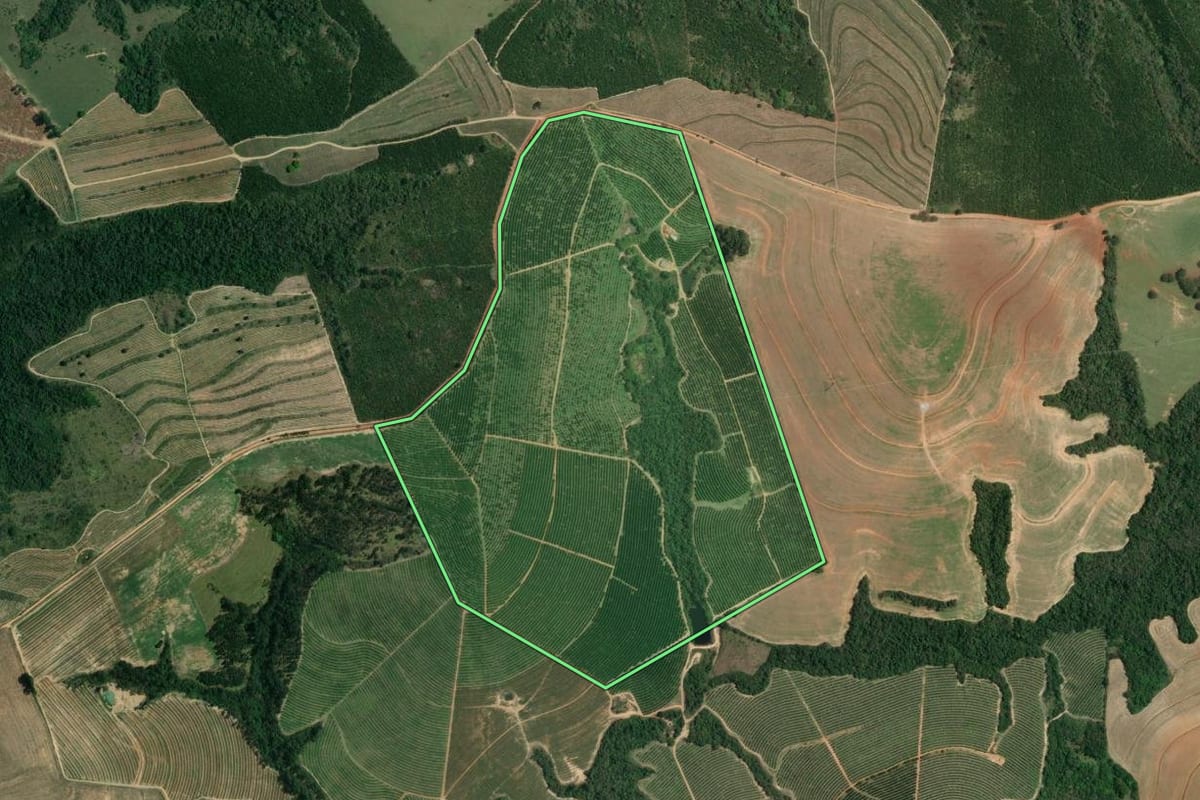Imagem de satélite do imóvel rural em Itaberá (SP), com o contorno declarado no CAR desenhado por cima.