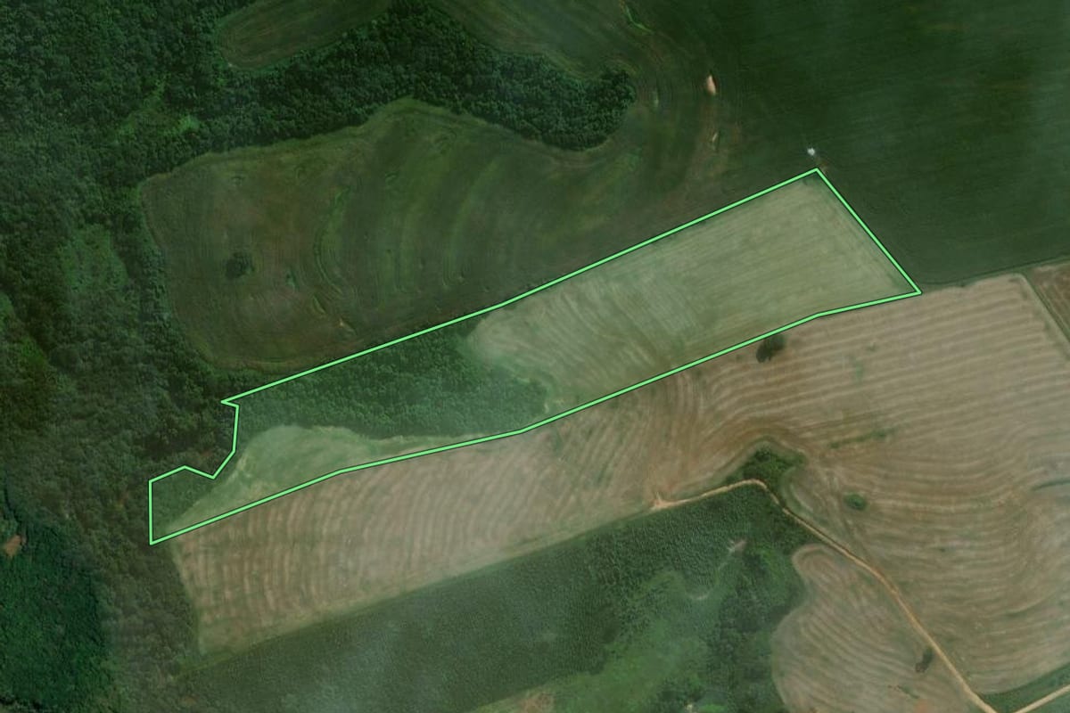 Imagem de satélite do imóvel rural em Itaberá (SP), com o contorno declarado no CAR desenhado por cima.