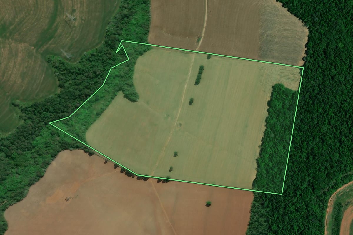Imagem de satélite do imóvel rural em Itaberá (SP), com o contorno declarado no CAR desenhado por cima.