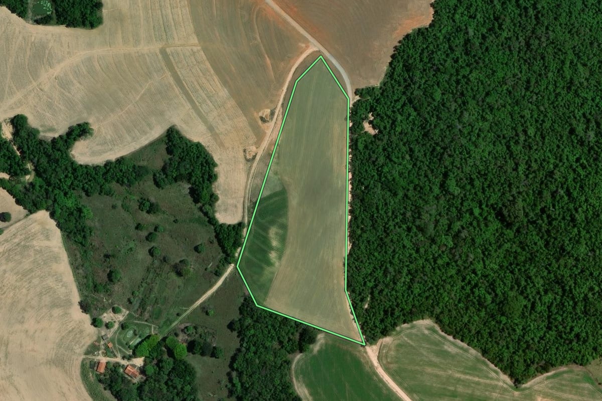 Imagem de satélite do imóvel rural em Itaberá (SP), com o contorno declarado no CAR desenhado por cima.