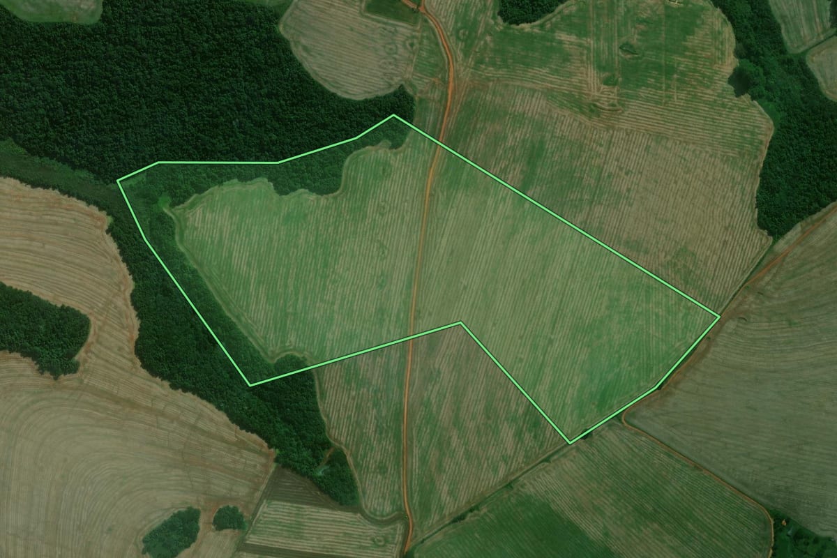 Imagem de satélite do imóvel rural em Itaberá (SP), com o contorno declarado no CAR desenhado por cima.