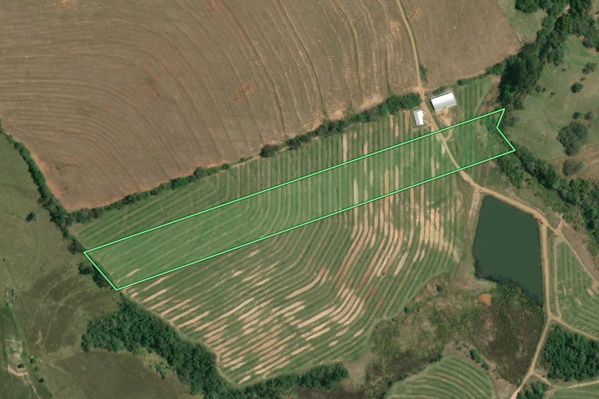 Imagem de satélite do imóvel rural em Itaberá (SP), com o contorno declarado no CAR desenhado por cima.