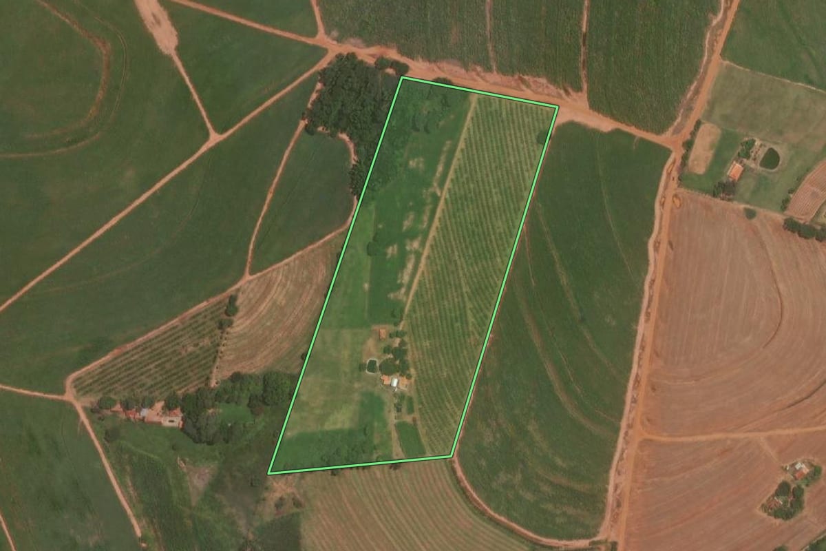 Imagem de satélite do imóvel rural em Itajobi (SP), com o contorno declarado no CAR desenhado por cima.