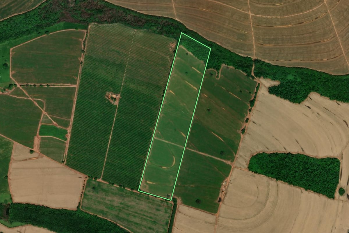 Imagem de satélite do imóvel rural em Itajobi (SP), com o contorno declarado no CAR desenhado por cima.