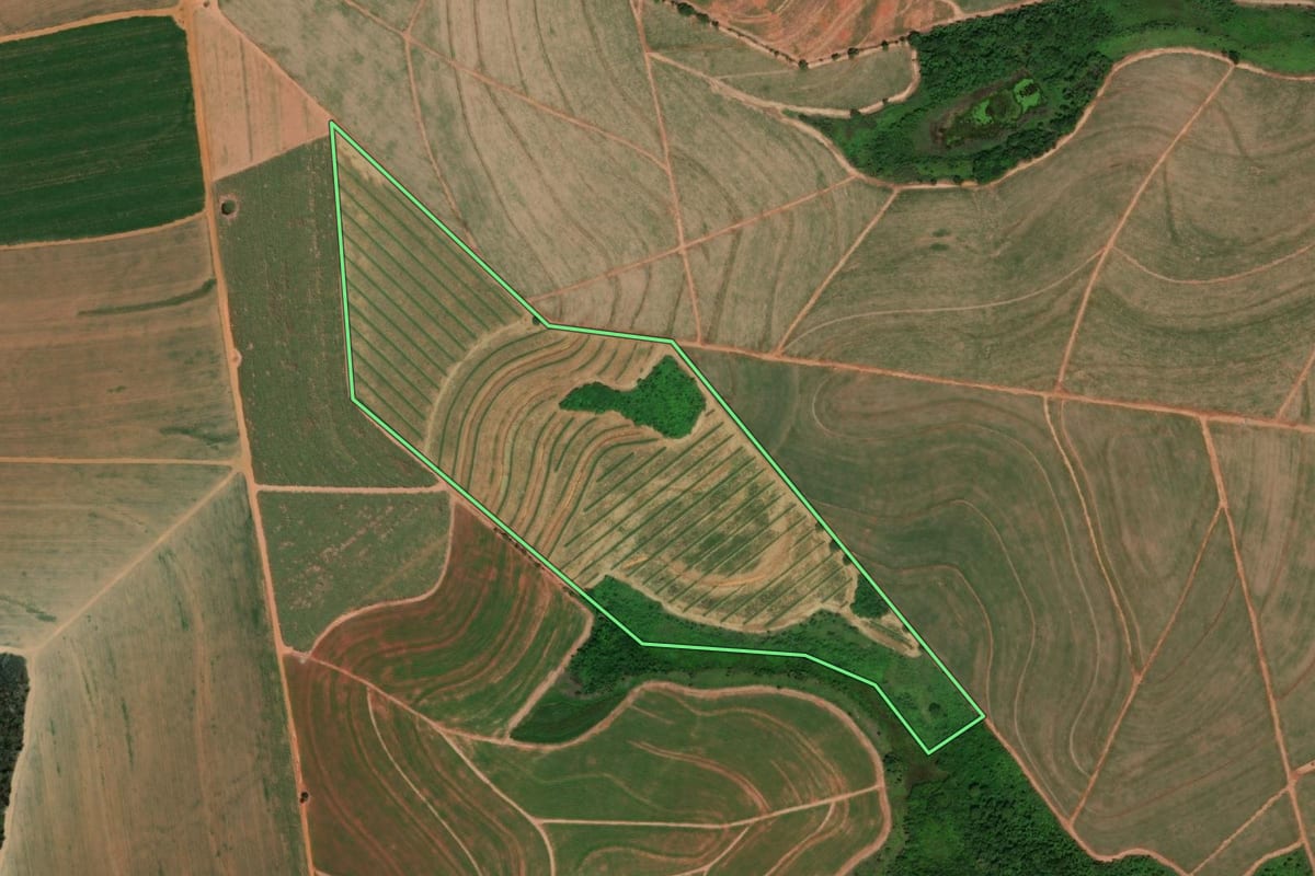 Imagem de satélite do imóvel rural em Itajobi (SP), com o contorno declarado no CAR desenhado por cima.