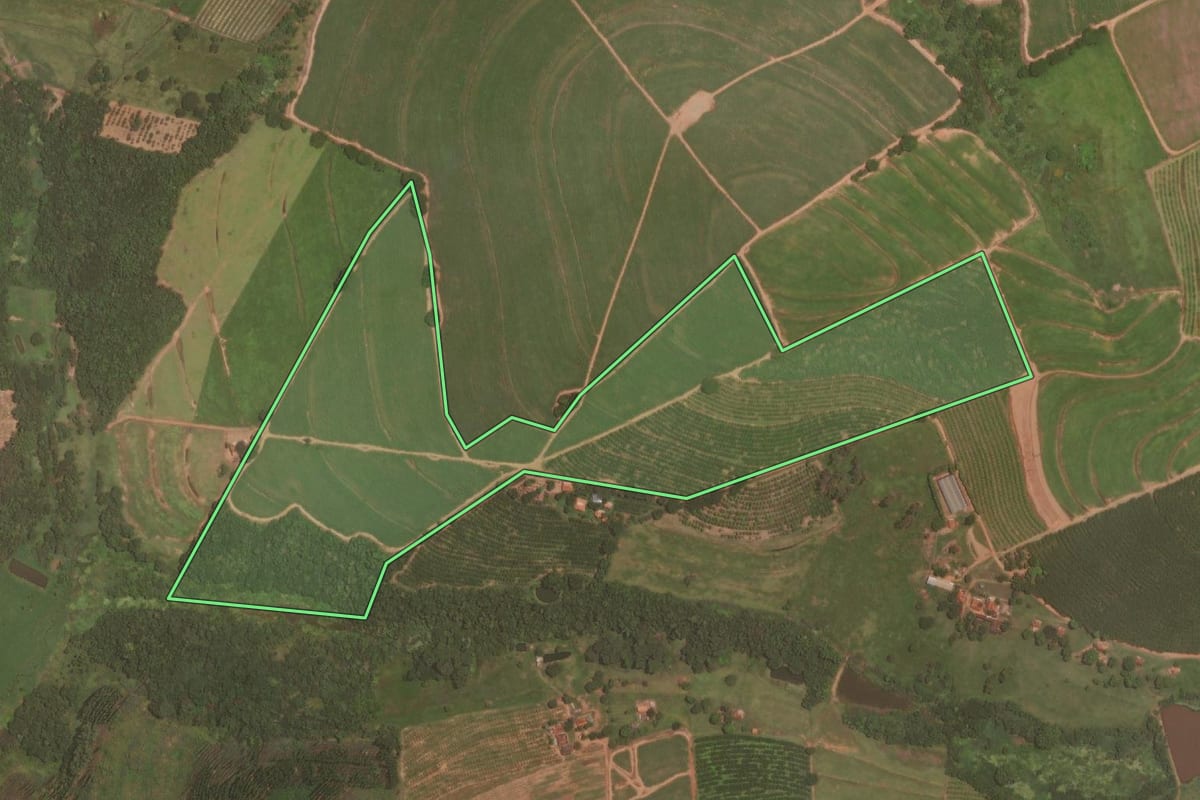 Imagem de satélite do imóvel rural em Itajobi (SP), com o contorno declarado no CAR desenhado por cima.