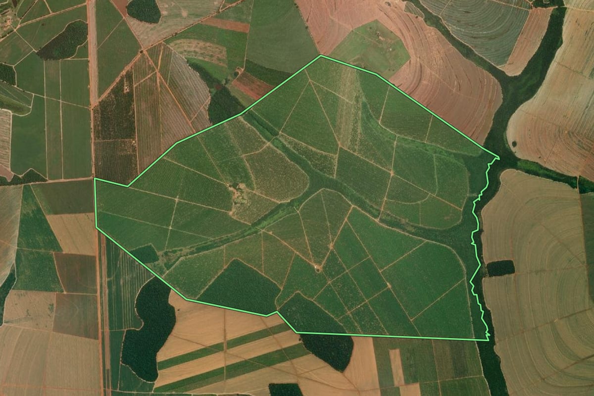 Imagem de satélite do imóvel rural em Itajobi (SP), com o contorno declarado no CAR desenhado por cima.
