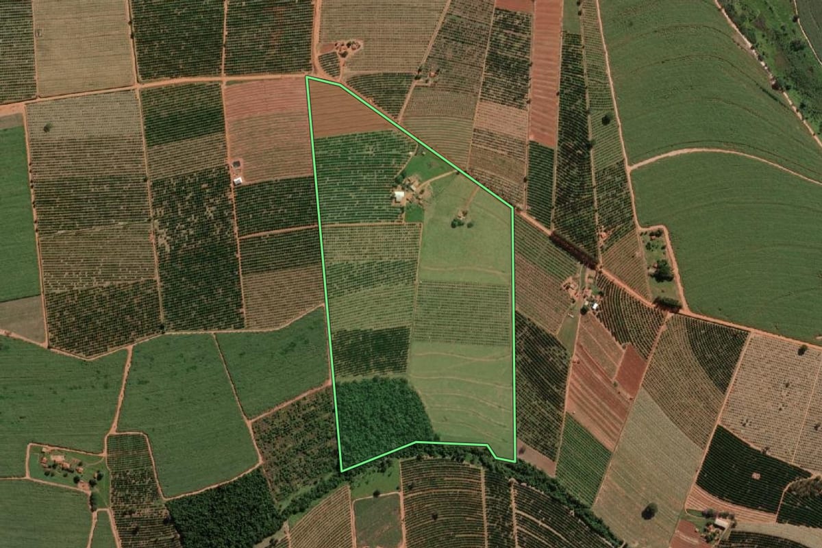 Imagem de satélite do imóvel rural em Itajobi (SP), com o contorno declarado no CAR desenhado por cima.
