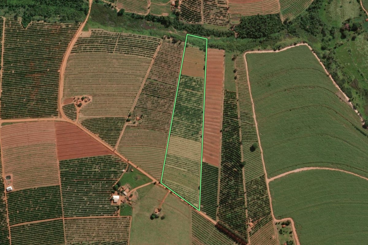 Imagem de satélite do imóvel rural em Itajobi (SP), com o contorno declarado no CAR desenhado por cima.