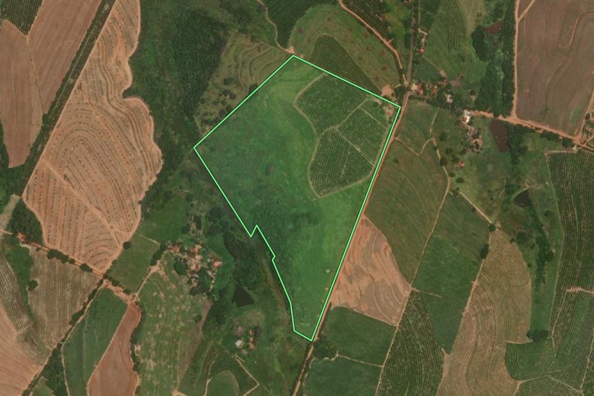 Imagem de satélite do imóvel rural em Itajobi (SP), com o contorno declarado no CAR desenhado por cima.