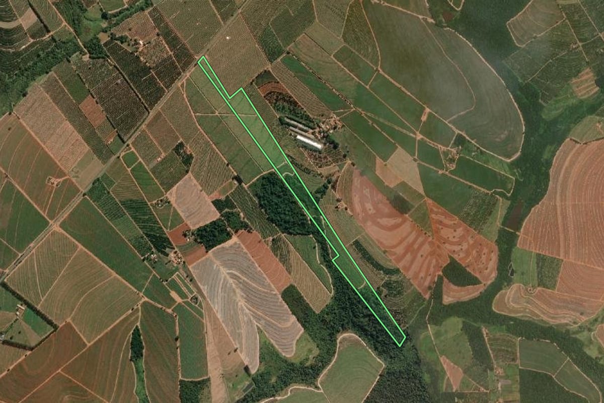 Imagem de satélite do imóvel rural em Itajobi (SP), com o contorno declarado no CAR desenhado por cima.
