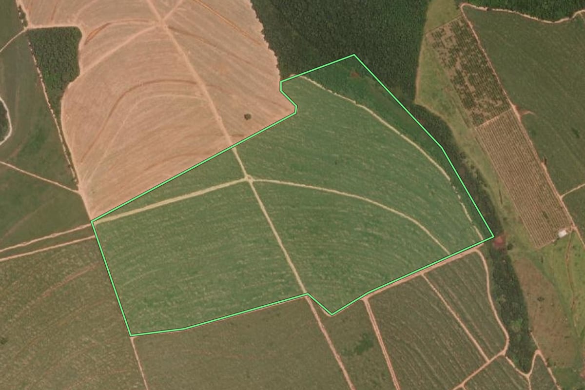 Imagem de satélite do imóvel rural em Itajobi (SP), com o contorno declarado no CAR desenhado por cima.