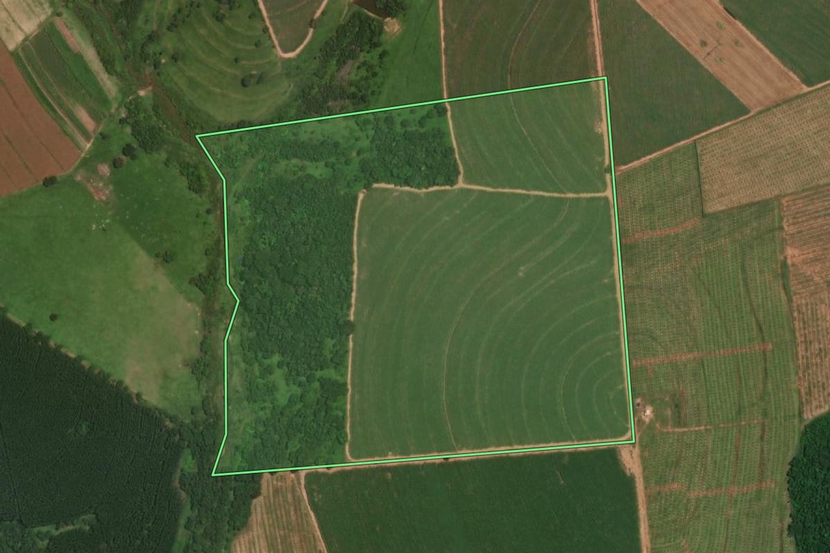 Imagem de satélite do imóvel rural em Itajobi (SP), com o contorno declarado no CAR desenhado por cima.