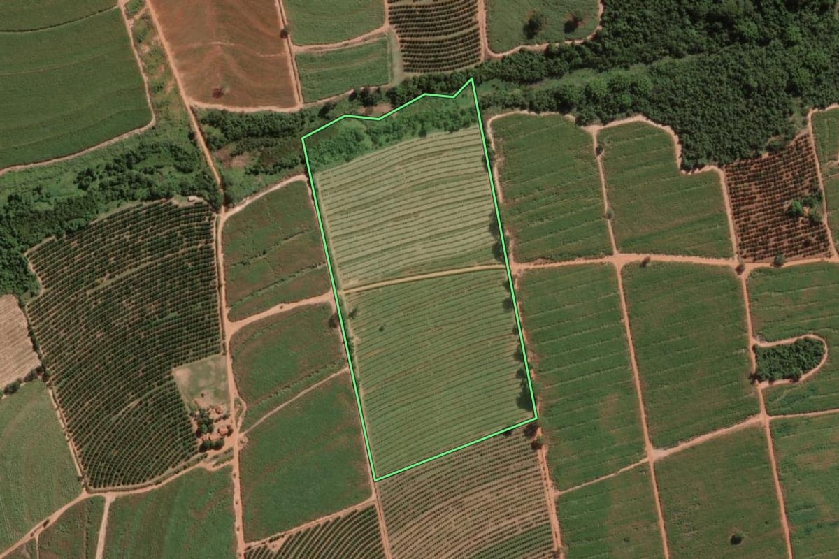 Imagem de satélite do imóvel rural em Itajobi (SP), com o contorno declarado no CAR desenhado por cima.
