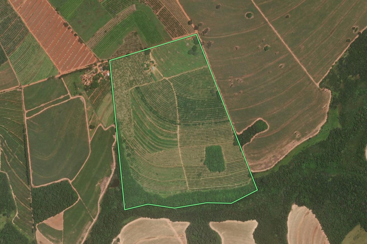 Imagem de satélite do imóvel rural em Itajobi (SP), com o contorno declarado no CAR desenhado por cima.