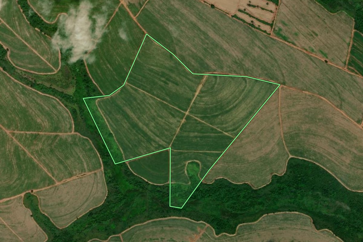Imagem de satélite do imóvel rural em Itajobi (SP), com o contorno declarado no CAR desenhado por cima.
