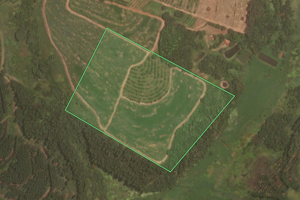 Imagem de satélite do imóvel rural em Itajobi (SP), com o contorno declarado no CAR desenhado por cima.