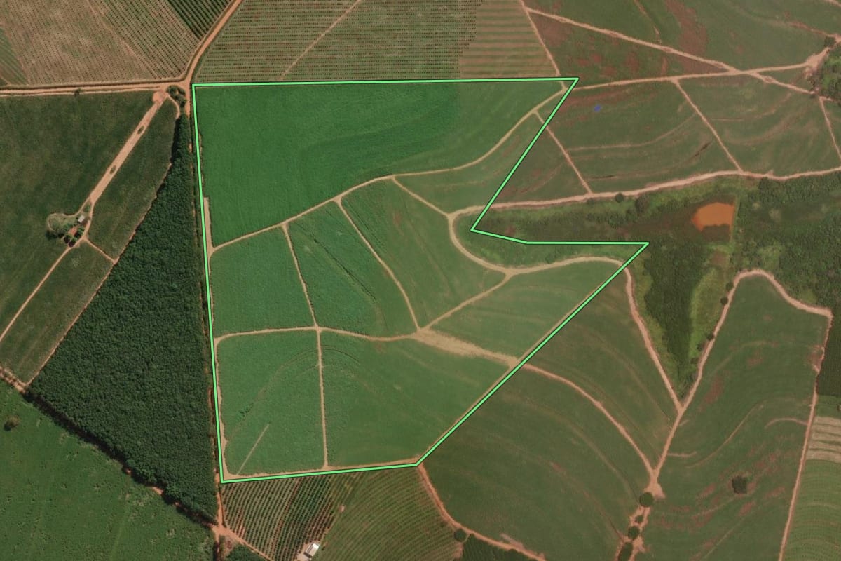 Imagem de satélite do imóvel rural em Itajobi (SP), com o contorno declarado no CAR desenhado por cima.