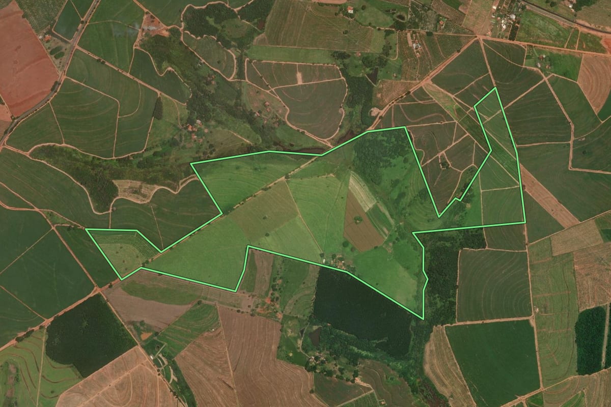 Imagem de satélite do imóvel rural em Itajobi (SP), com o contorno declarado no CAR desenhado por cima.