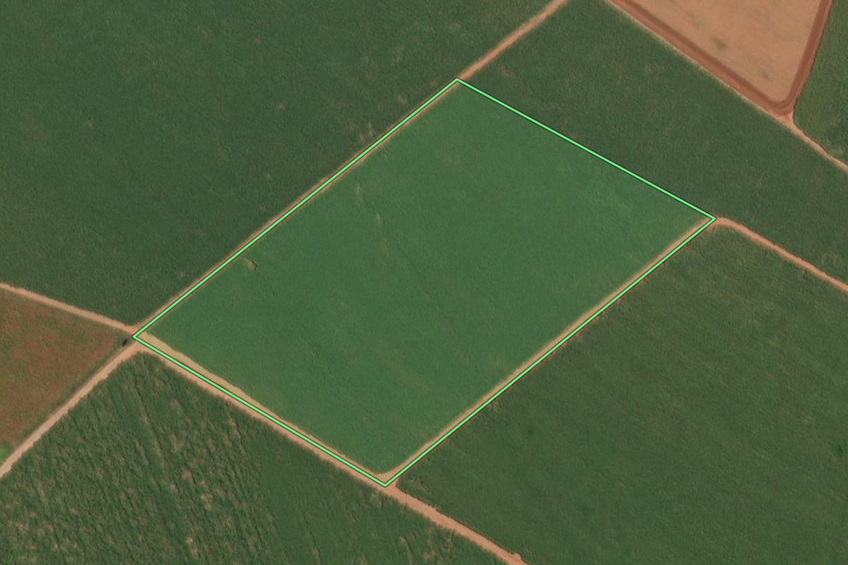 Imagem de satélite do imóvel rural em Itajobi (SP), com o contorno declarado no CAR desenhado por cima.