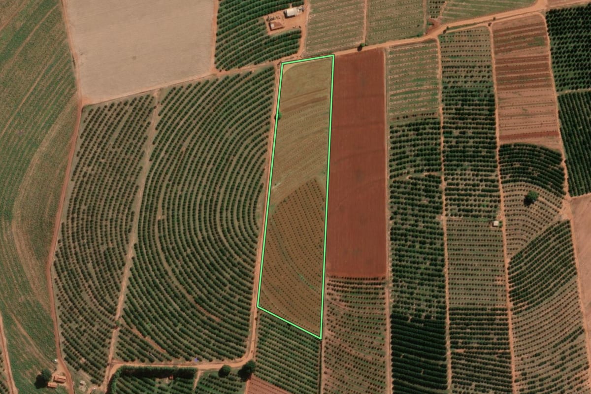 Imagem de satélite do imóvel rural em Itajobi (SP), com o contorno declarado no CAR desenhado por cima.