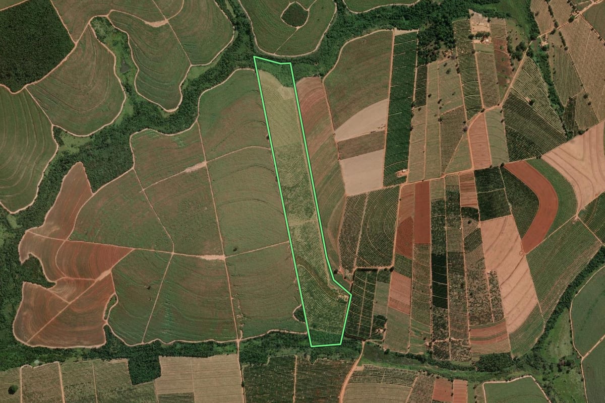Imagem de satélite do imóvel rural em Itajobi (SP), com o contorno declarado no CAR desenhado por cima.