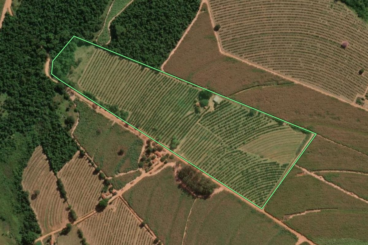 Imagem de satélite do imóvel rural em Itajobi (SP), com o contorno declarado no CAR desenhado por cima.
