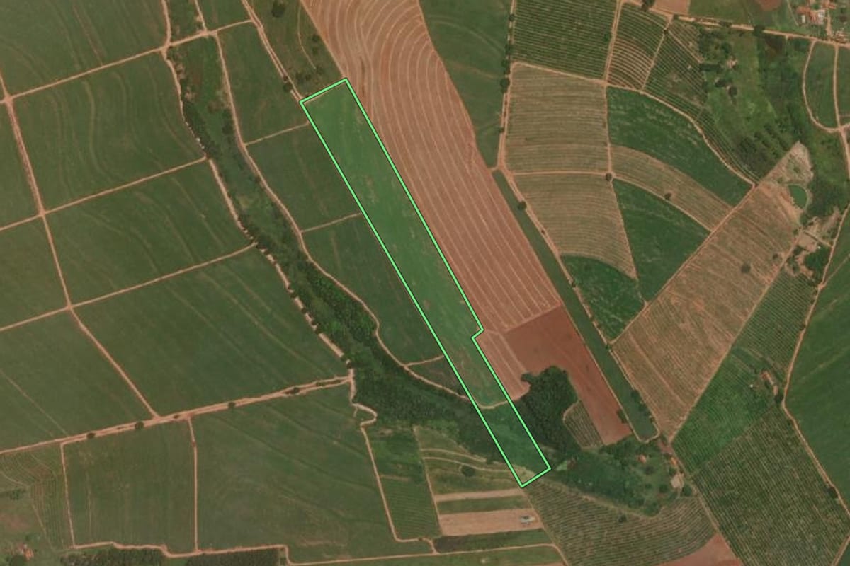 Imagem de satélite do imóvel rural em Itajobi (SP), com o contorno declarado no CAR desenhado por cima.