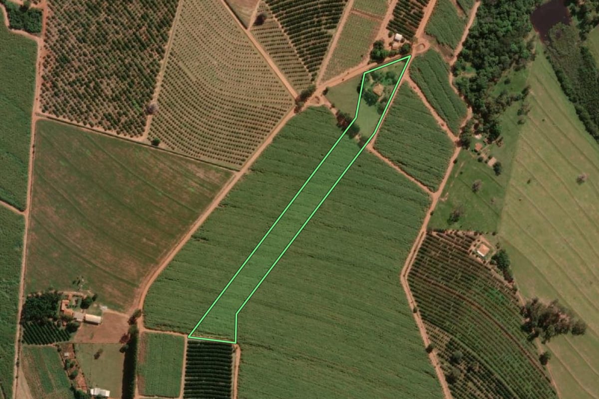 Imagem de satélite do imóvel rural em Itajobi (SP), com o contorno declarado no CAR desenhado por cima.