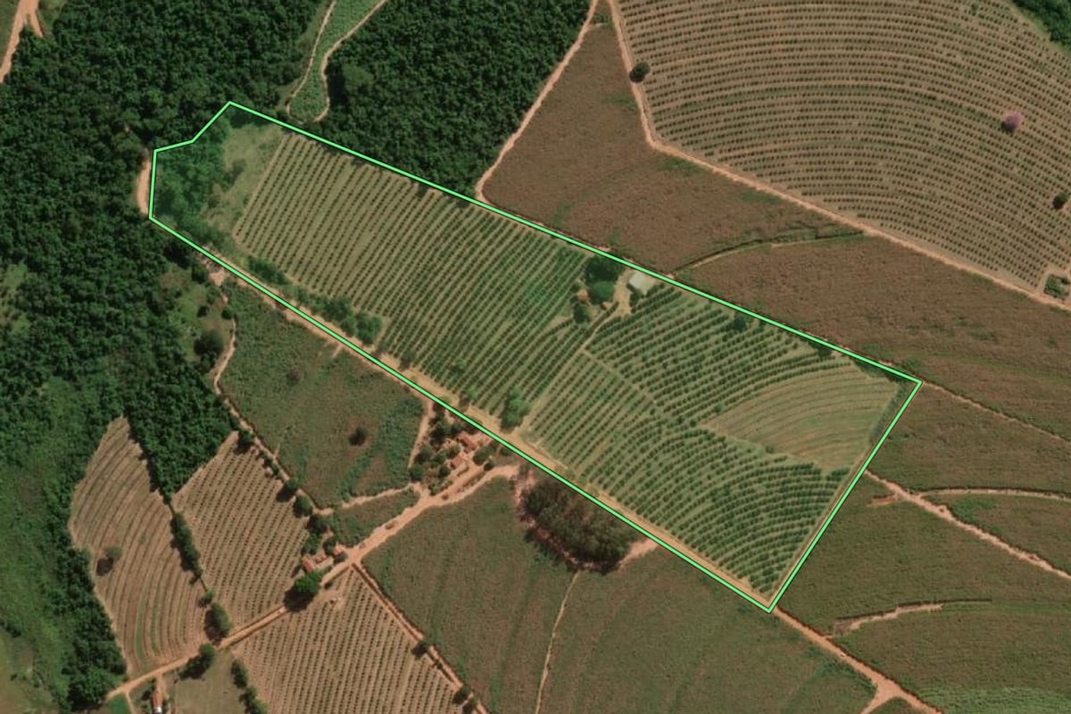 Imagem de satélite do imóvel rural em Itajobi (SP), com o contorno declarado no CAR desenhado por cima.