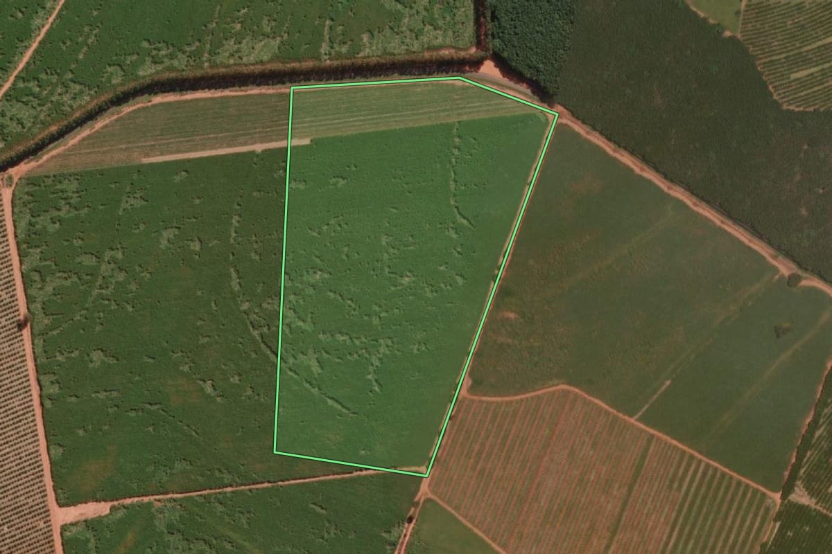 Imagem de satélite do imóvel rural em Itajobi (SP), com o contorno declarado no CAR desenhado por cima.