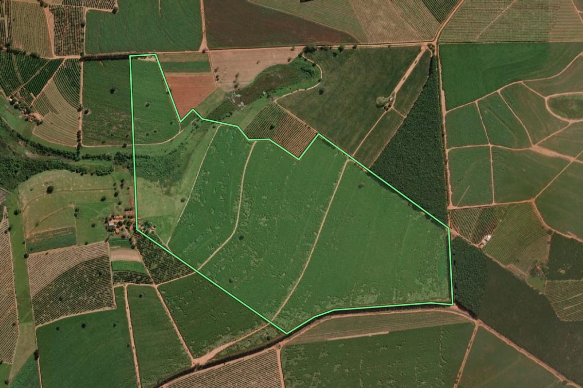Imagem de satélite do imóvel rural em Itajobi (SP), com o contorno declarado no CAR desenhado por cima.