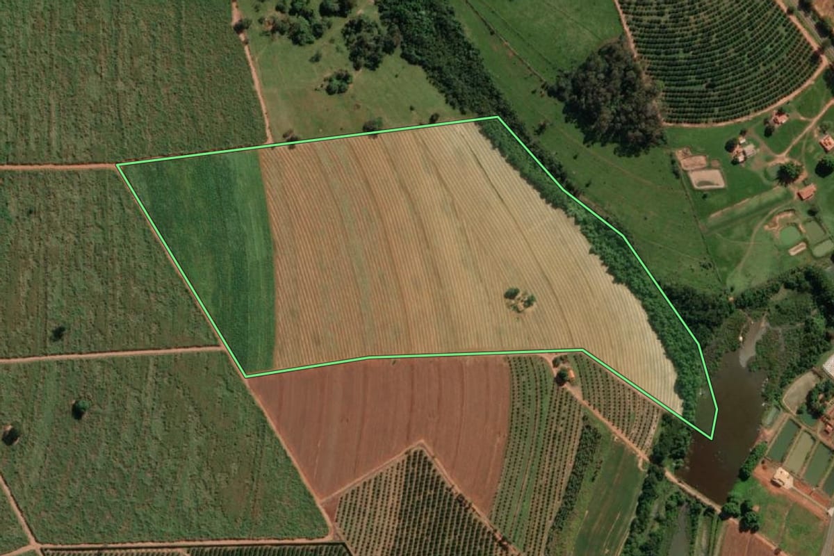 Imagem de satélite do imóvel rural em Itajobi (SP), com o contorno declarado no CAR desenhado por cima.