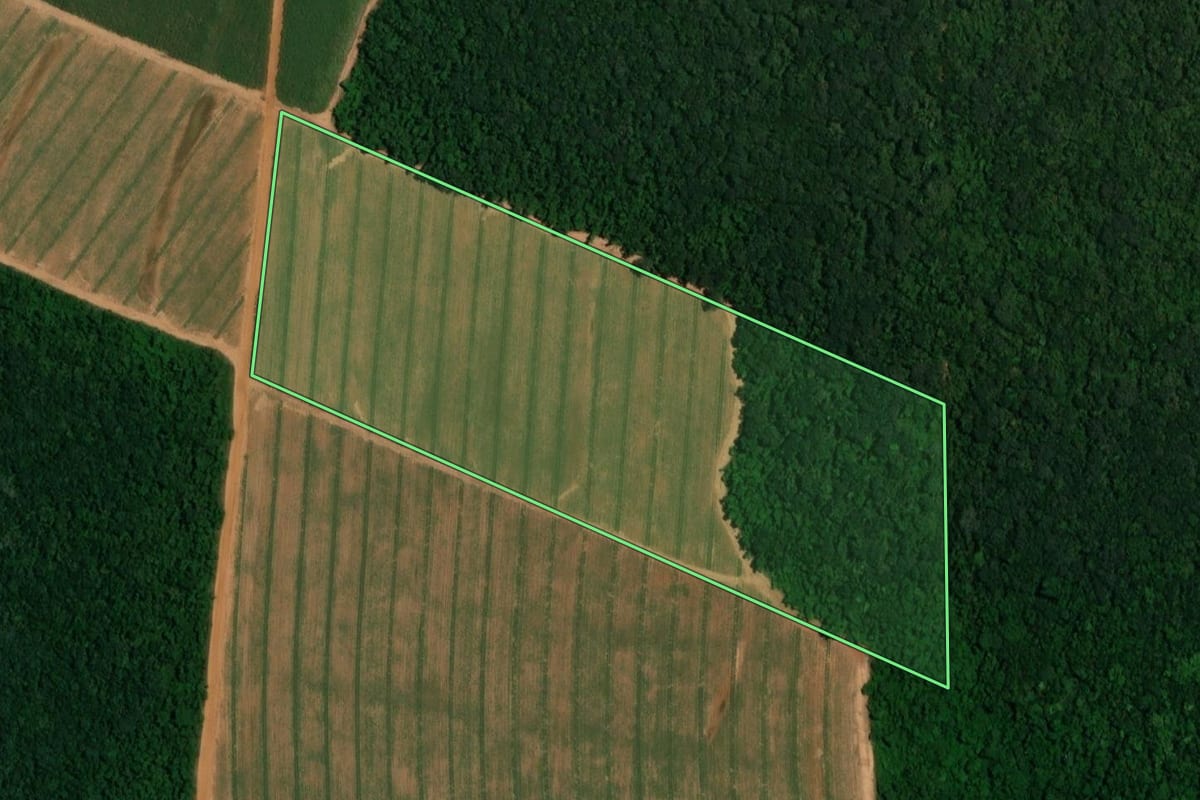 Imagem de satélite do imóvel rural em Itajobi (SP), com o contorno declarado no CAR desenhado por cima.