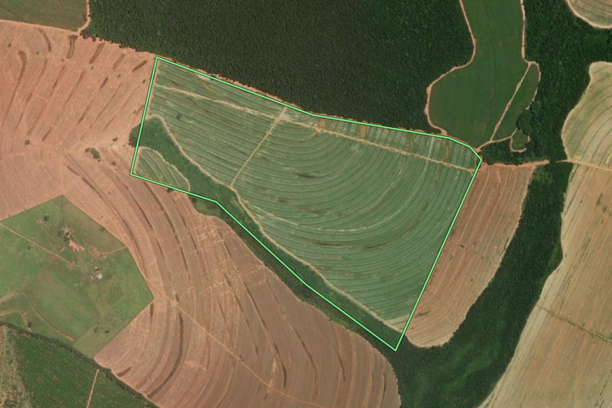 Imagem de satélite do imóvel rural em Itajobi (SP), com o contorno declarado no CAR desenhado por cima.