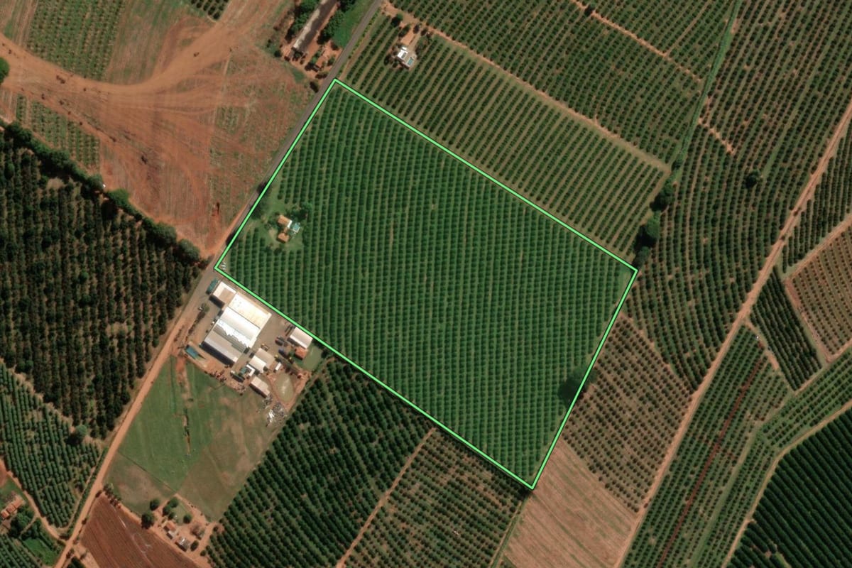 Imagem de satélite do imóvel rural em Itajobi (SP), com o contorno declarado no CAR desenhado por cima.