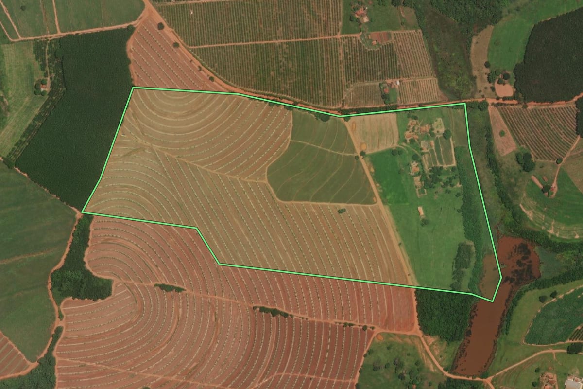 Imagem de satélite do imóvel rural em Itajobi (SP), com o contorno declarado no CAR desenhado por cima.