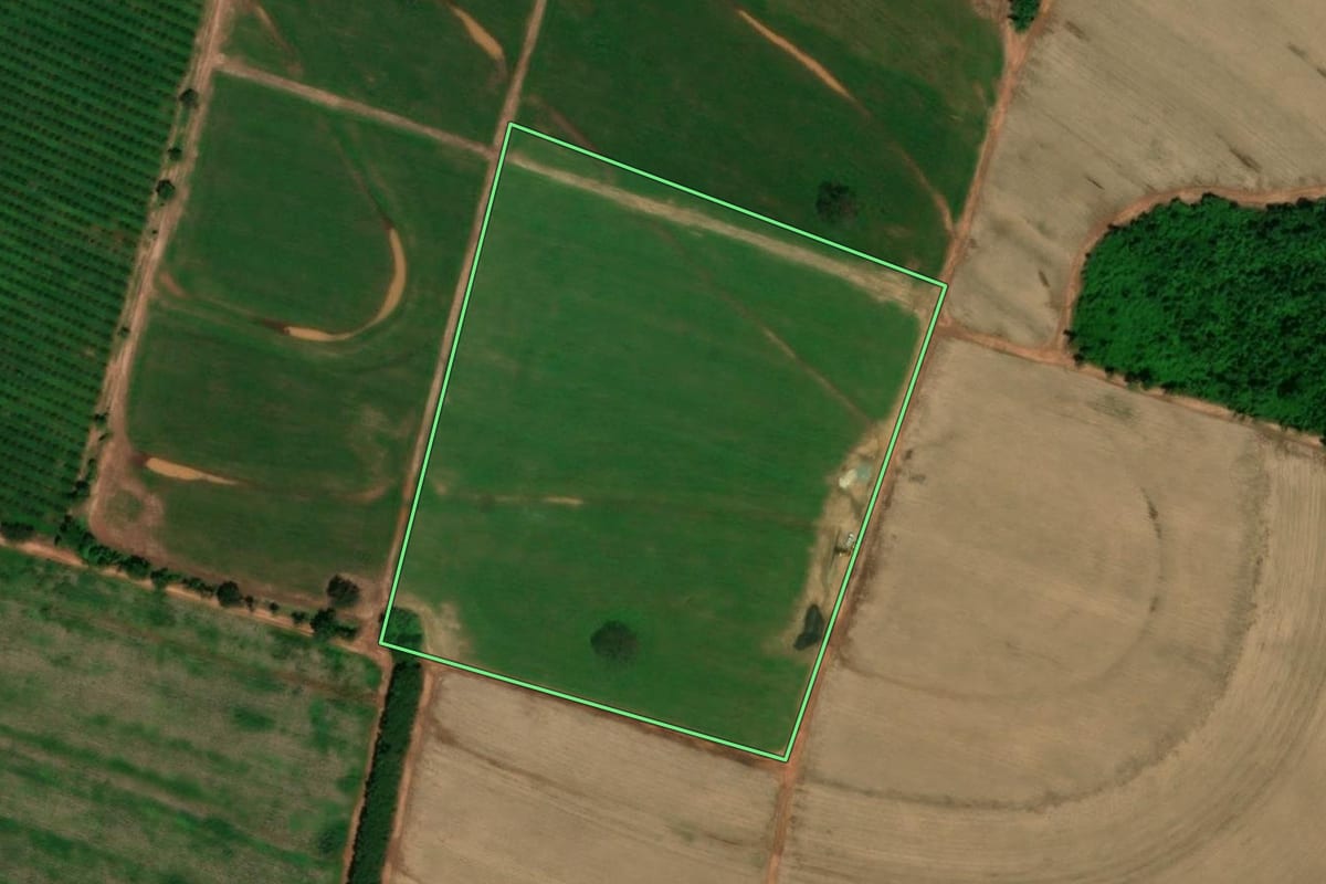 Imagem de satélite do imóvel rural em Itajobi (SP), com o contorno declarado no CAR desenhado por cima.