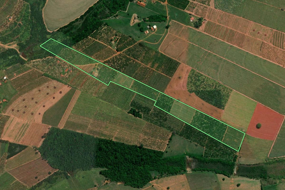 Imagem de satélite do imóvel rural em Itajobi (SP), com o contorno declarado no CAR desenhado por cima.