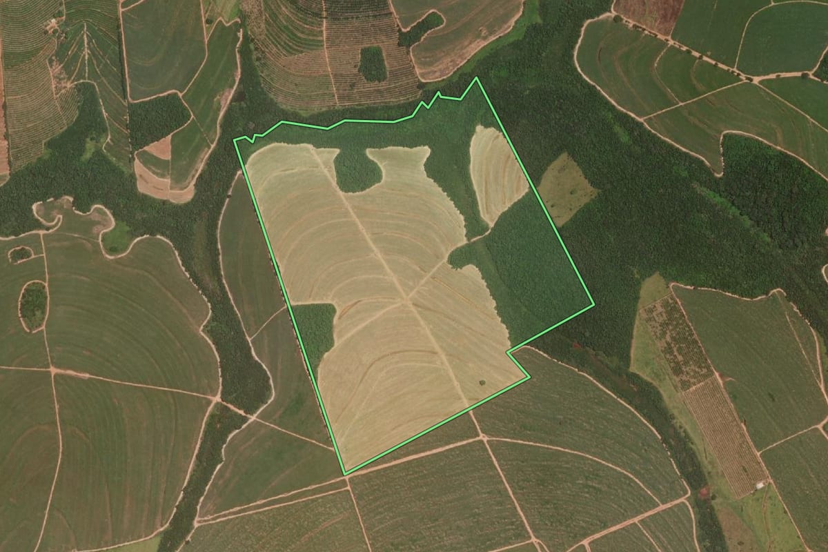 Imagem de satélite do imóvel rural em Itajobi (SP), com o contorno declarado no CAR desenhado por cima.