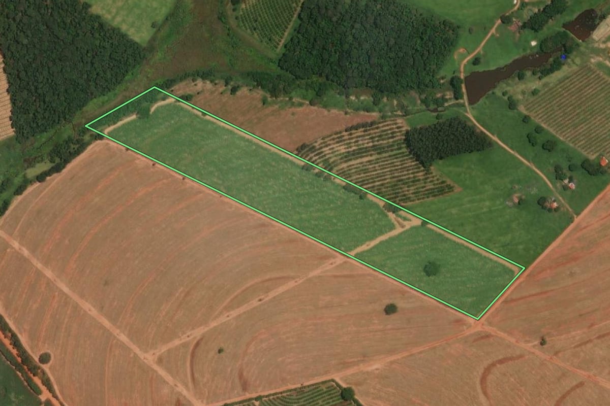 Imagem de satélite do imóvel rural em Itajobi (SP), com o contorno declarado no CAR desenhado por cima.