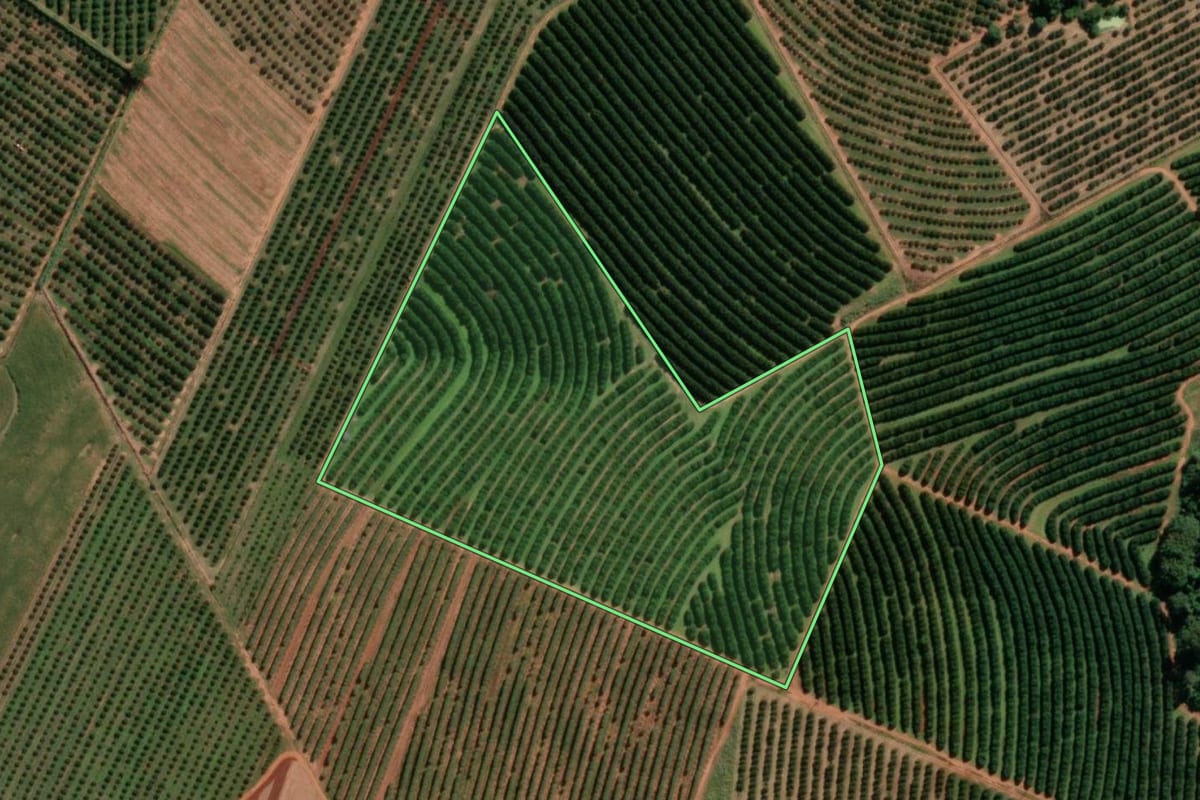 Imagem de satélite do imóvel rural em Itajobi (SP), com o contorno declarado no CAR desenhado por cima.