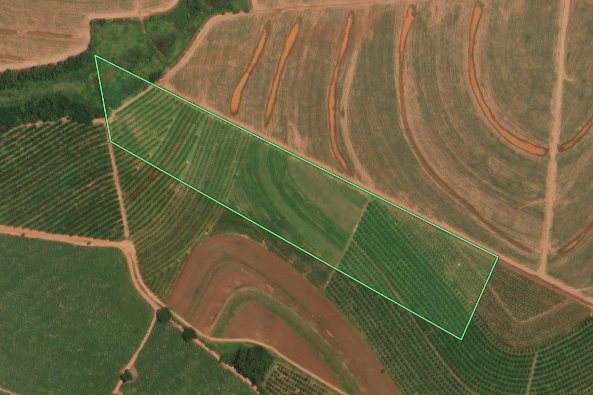 Imagem de satélite do imóvel rural em Itajobi (SP), com o contorno declarado no CAR desenhado por cima.