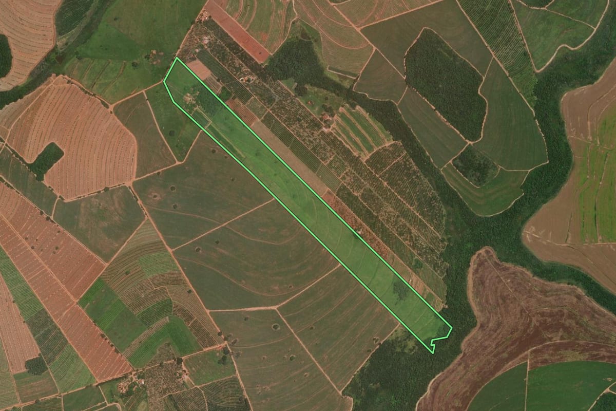 Imagem de satélite do imóvel rural em Itajobi (SP), com o contorno declarado no CAR desenhado por cima.