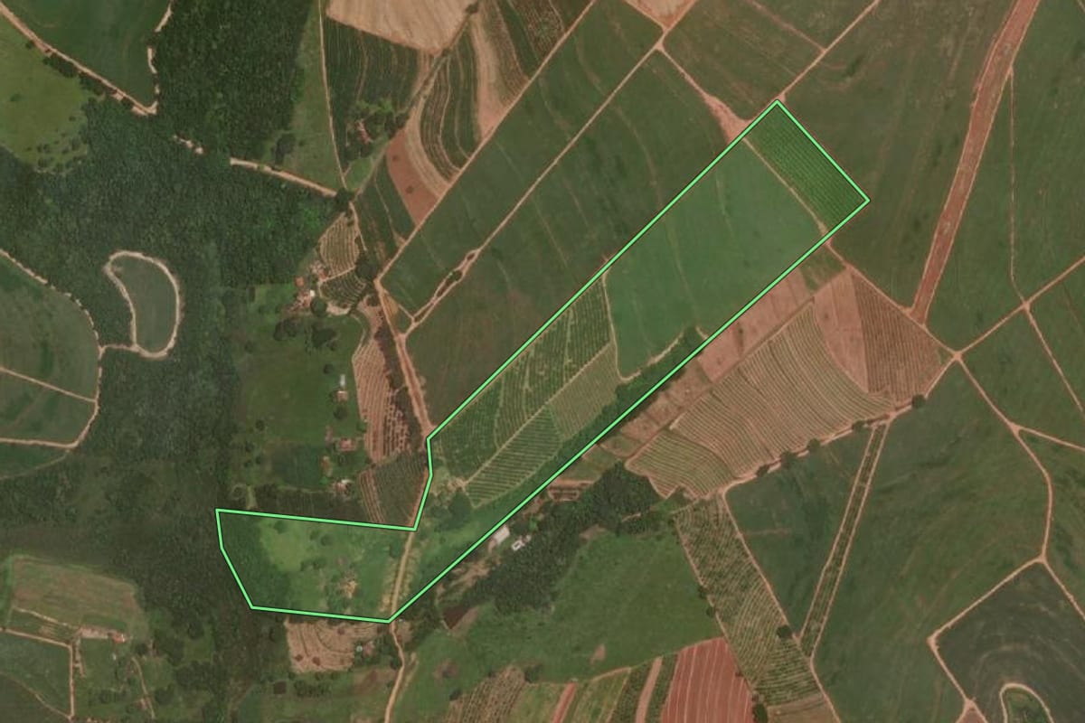 Imagem de satélite do imóvel rural em Itajobi (SP), com o contorno declarado no CAR desenhado por cima.