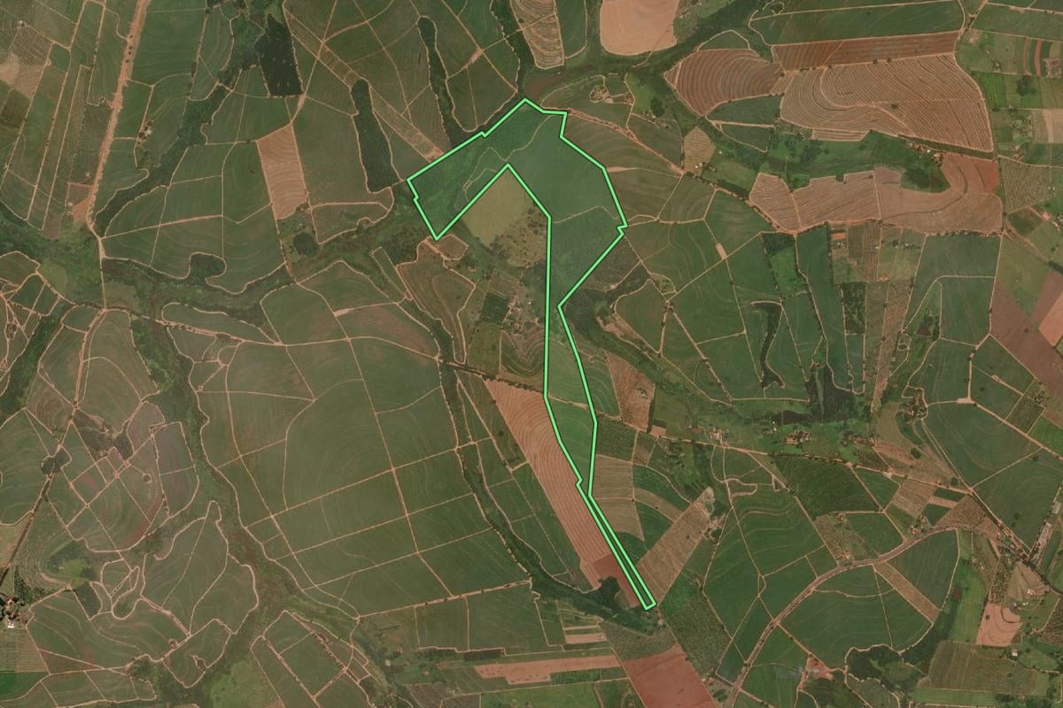 Imagem de satélite do imóvel rural em Itajobi (SP), com o contorno declarado no CAR desenhado por cima.